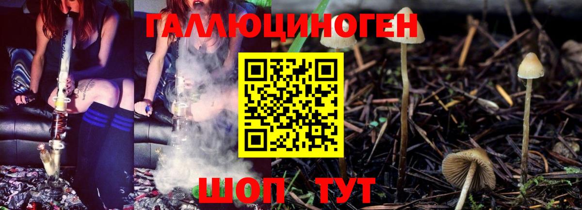 Галлюциногенные грибы Psilocybe  Вход с VPN  Галлюциногенные грибы Psilocybine cubensis  Алапаевск 