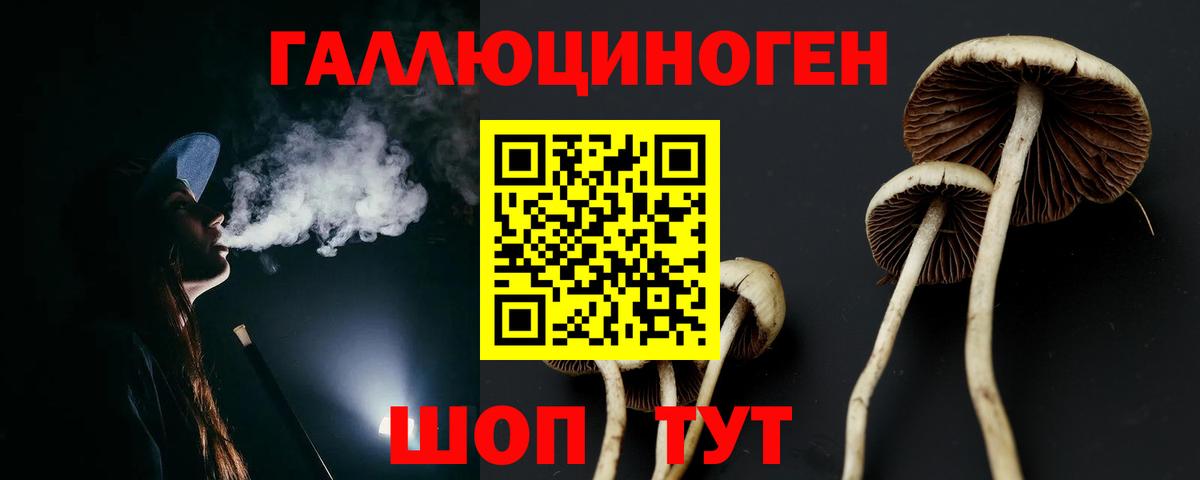 Псилоцибиновые грибы Magic Shrooms Алапаевск